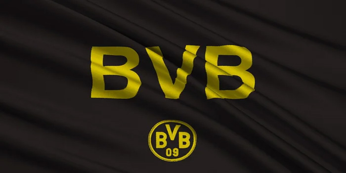 Borussia Dortmund vs Bayern Munich - Pekan ke-12 Bundesliga, 1 Desember 2024